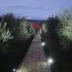 Maslina Imotski