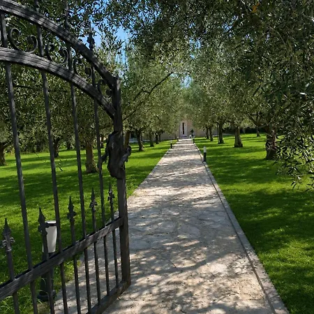 Maslina Villa Imotski